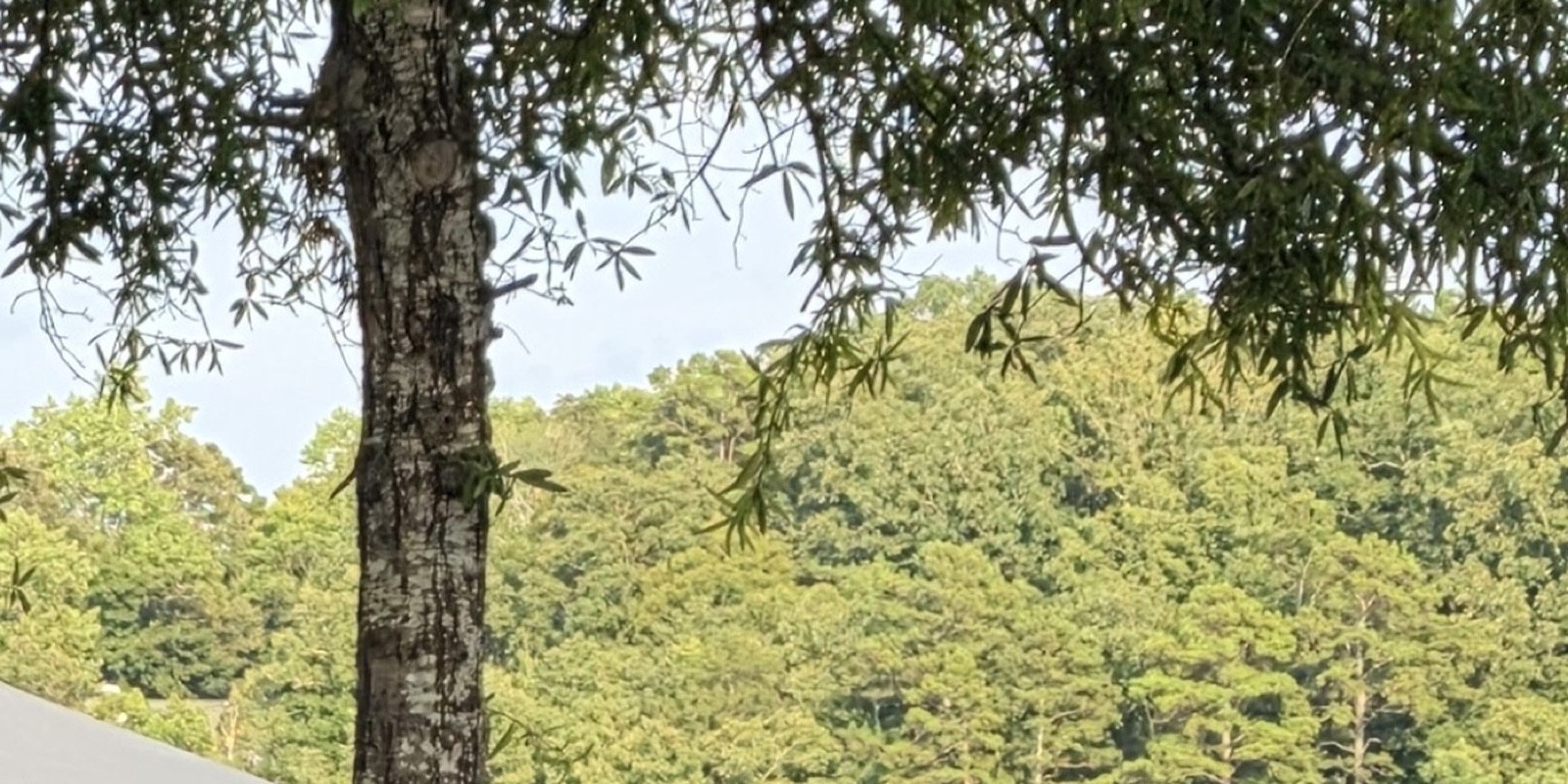 The booth by the lake